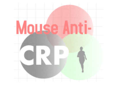 小鼠抗人C反应蛋白（Monoclonal Mouse Anti-CRP）