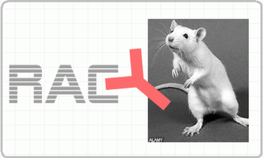 小鼠抗莱克多巴胺（Monoclonal Mouse Anti-Ractopamine）