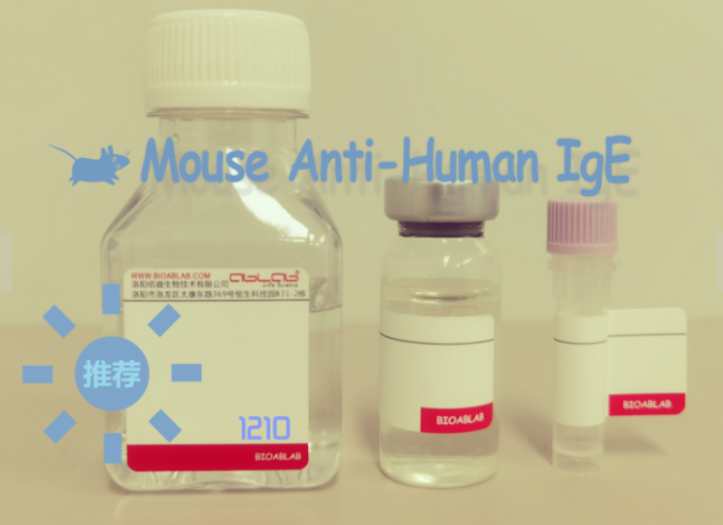 小鼠抗人IgE/Monoclonal Mouse Anti-Human IgE